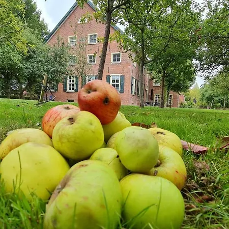 Gulfhof Boomgaarden Boomgaarden 8 Claas * Krummhörn