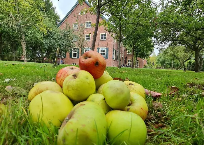 Gulfhof Boomgaarden Boomgaarden 8 Claas * Krummhörn
